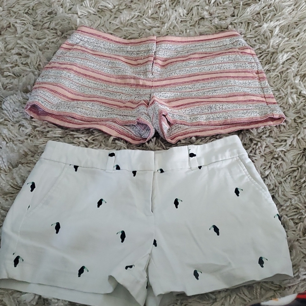 Loft Shorts Bundle - size 4